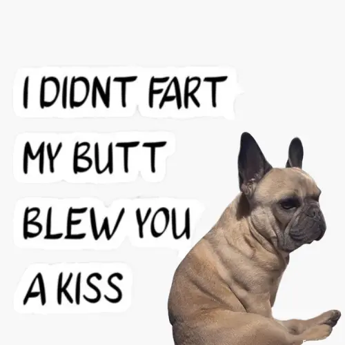 French Bulldogs fart a lot